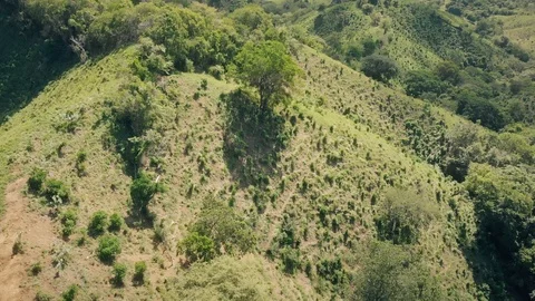 Flight over the green jungle on the small island Video stock 101487350