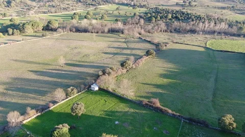 Flight over green meadows at dusk Stock-Footage 126238613