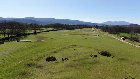Flight over green meadows Stock Footage 128975737