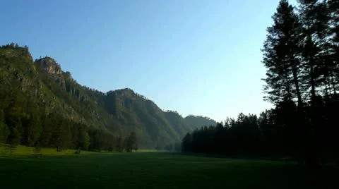 Flight over green trees in the woods. Stock Footage 11499117