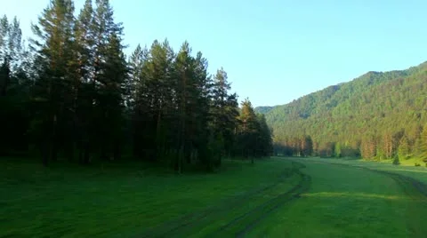Flight over green trees in the woods. Stock Footage 11499141