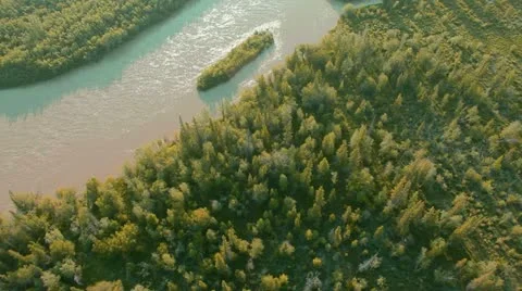 Flight over green trees in the woods. Stock Footage 12585860