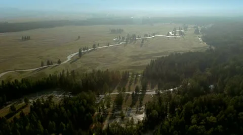 Flight over green trees in the woods. Stock Footage 12733636