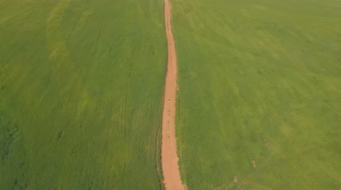 Flight over the green wheat field Video stock 61797143