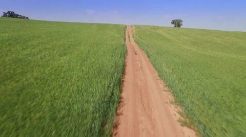 Flight over the green wheat field - flying away Vídeo Stock 61820795