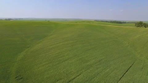 Flight over the green wheat field 库存影片 61830785