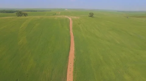 Flight over the green wheat field Vídeo Stock 61842756