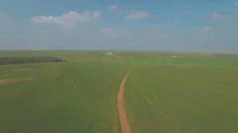 Flight over the green wheat field - Pan Left Vídeo Stock 61848038