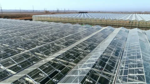 Flight over the greenhouse complex. Large agricultural complex. Industrial Stock Footage 137869943