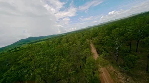 Flight over the gum trees, drone shot, Queensland outback, Australia Stock Footage 262540825