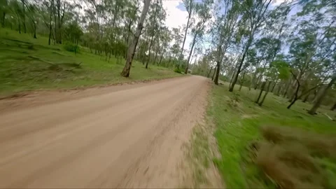 Flight over the gum trees, drone shot, Queensland outback, Australia Stock Footage 262540915