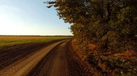 Flight over a  harvested field Video stock 56049816