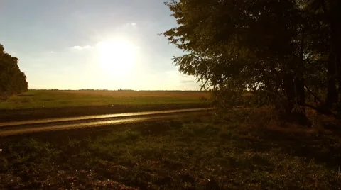 Flight over a  harvested field Stock Footage 56050206