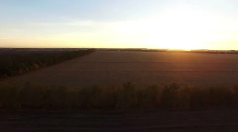 Flight over a  harvested field 스톡 동영상 56050640
