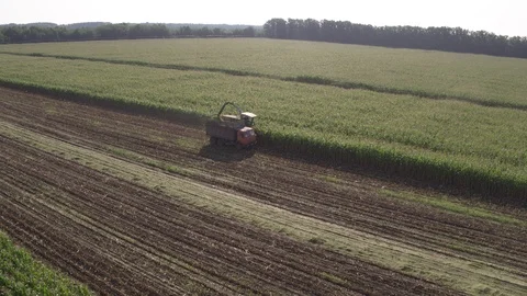 Flight over harvester, corn and truck Stock-Footage 123775738