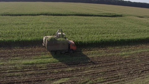 Flight over harvester, corn and truck 2 Stock-Footage 123776309