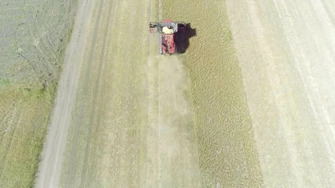 Flight over harvester soybean field top aerial view 4k video. Harvest farm Stock Footage 82981149