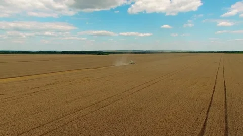 Flight over harvester wheat rye field aerial 4k video. Combine harvest farm Stock Footage 67314059