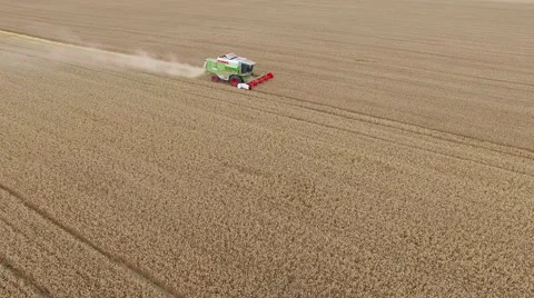 Flight over harvester wheat rye field aerial 4k video. Combine harvest farm Stock Footage 67314065
