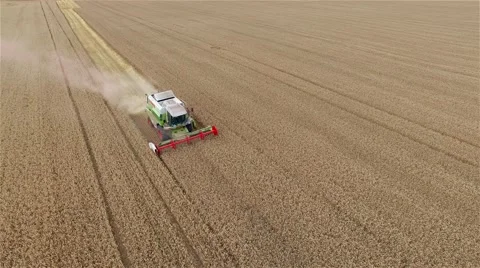 Flight over harvester wheat rye field aerial 4k video. Rural combine crops grain Stock Footage 67314245
