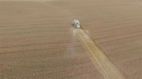 Flight over harvester wheat rye field aerial 4k video. Rural combine crops grain Stock Footage 67314922