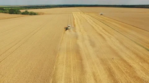 Flight over harvester wheat rye field aerial 4k video. Rural combine crops grain Stock Footage 67318462