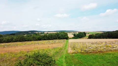 Flight over the hill, fields and forest Stock Footage 161067371