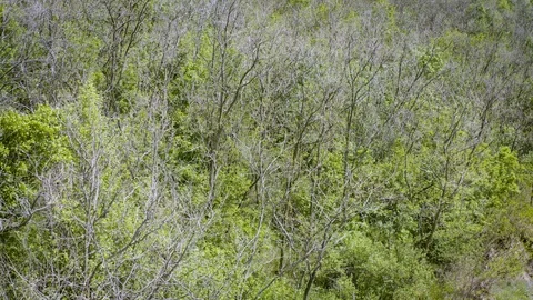 Flight over the hill with a panorama of the plain behind the hill Stock Footage 128855322