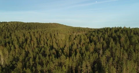 Flight over hills and forest in the beautiful soft light Stock Footage 108902279