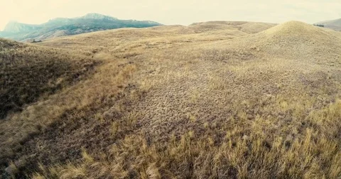 Flight over a hillside with dry grass Stock Footage 84552493
