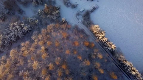 Flight over house in beautiful winter forest. Top down video. Stock Footage 166571333