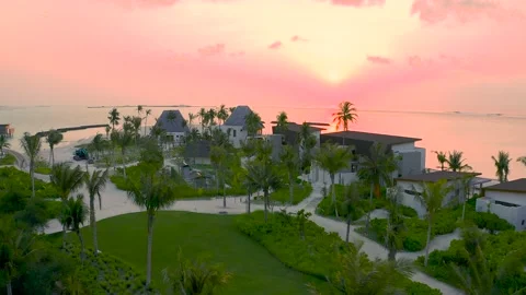 Flight over the island Palm trees White sand Ocean Green grass with palm tre Stock Footage 220627963