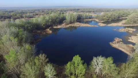 Flight over the islands in the midst of a big river flood Video stock 74470503