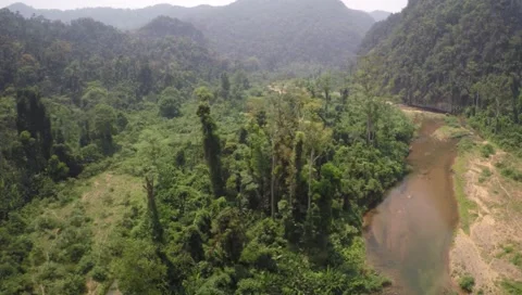 Flight over jungle Stock Footage 50209911