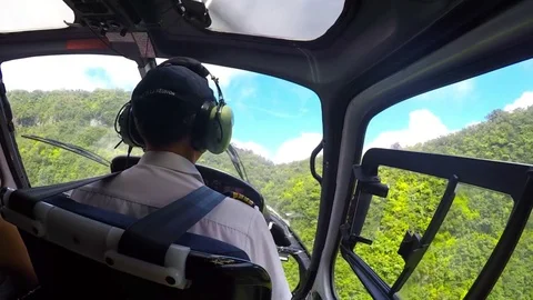 Flight over jungle. Stock Footage 77195074