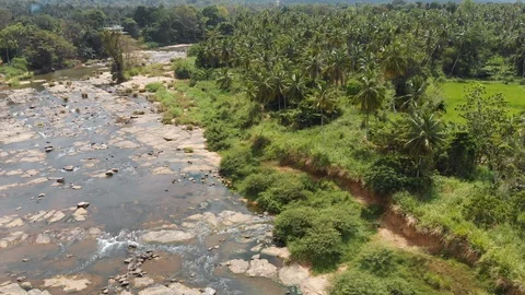 Flight over jungle Video stock 109423321