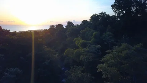 Flight over jungle forest Stock Footage 94153260