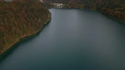 Flight over the lake Alpsee with a view of the castle Stock-Footage 223260050