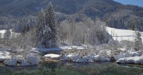 Flight Over The Lake And Pine Tree Forest In Winter Stock Footage 71019359