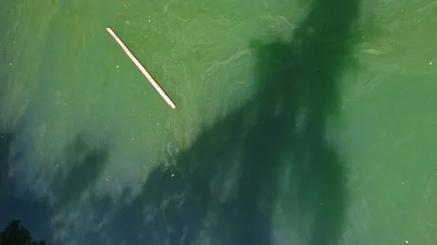 Flight Up Over Lake, Ascend Drone Shot Stock Footage 165305700