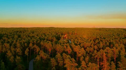 Flight over the lake during sunset Stock Footage 79388175