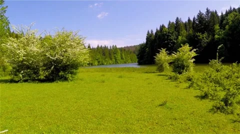 Flight over the lake Stock Footage 63853650