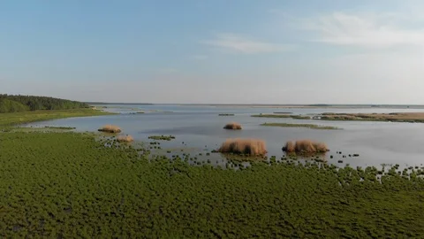 Flight over the lake 動画素材 98712287