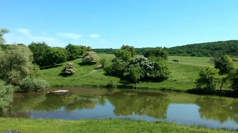 Flight over the lake Stock Footage 128693296