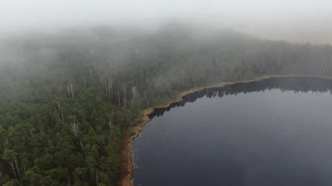 Flight over the lake. Stock Footage 238775524