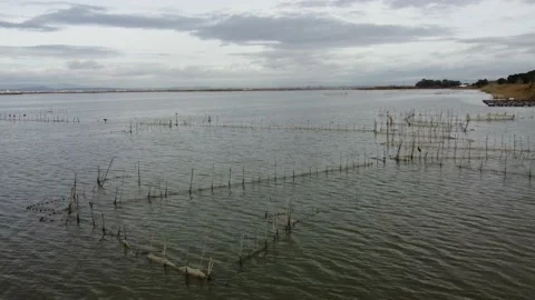 Flight over the lake l'albufera close to Valencia, Spain Stock Footage 148163714