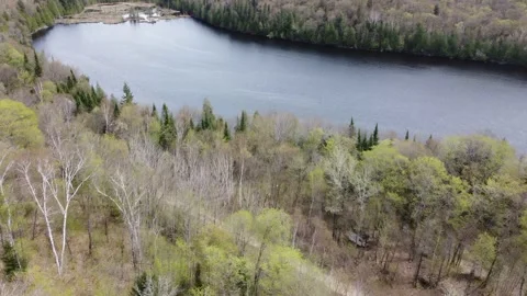 Flight Over a Lake in the Middle of the Forest Stock Footage 158119267