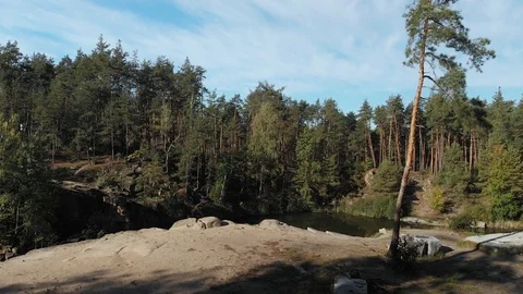 Flight Over the Lake Surrounded by Pine Forest Stock Footage 98641416