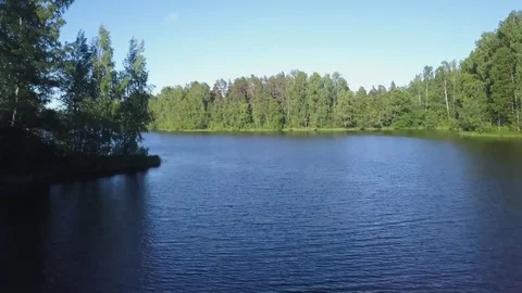 Flight over the lake, trees Video stock 77735187