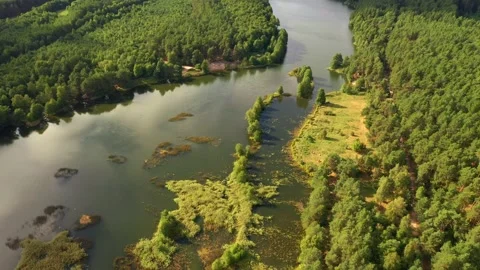 Flight over the lake which is surrounded by forest. Filmed in UHD 4k video. Video stock 201476620